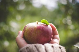 KOMPETENT & VERLÄSSLICH KOMPETENT & VERLÄSSLICH