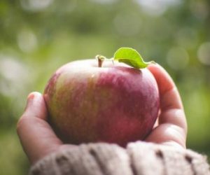 KOMPETENT & VERLÄSSLICH KOMPETENT & VERLÄSSLICH