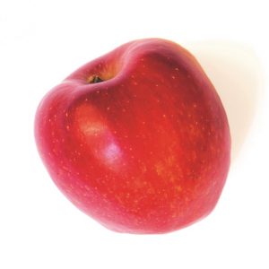 gesteigertes Employer Branding gesteigertes Employer Branding